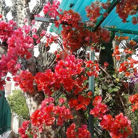 Il Roseto Di Mola *